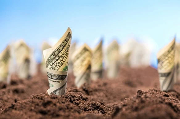 hundred dollar bills grow out of the soil.