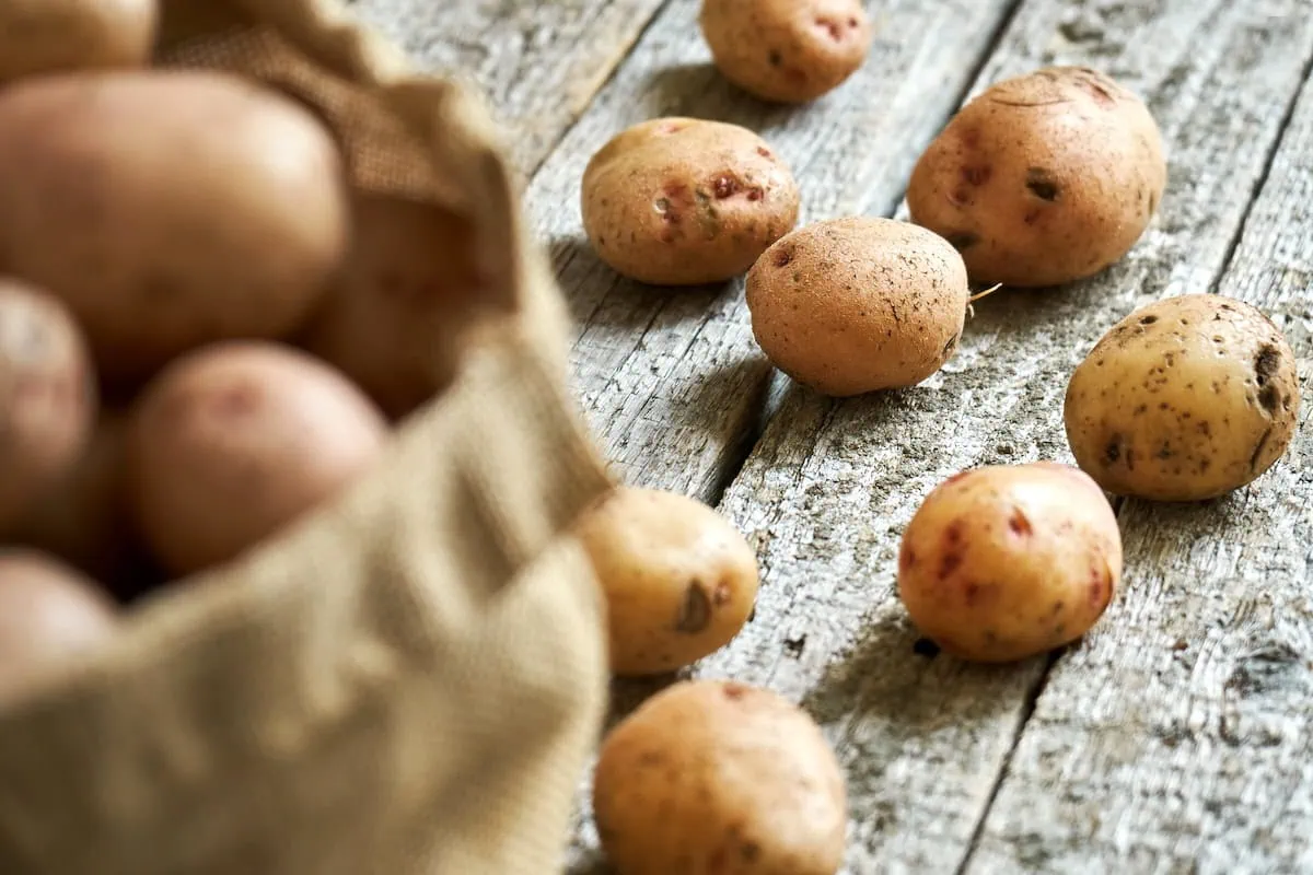 best dividend stock lamb weston sack potatoes 1200