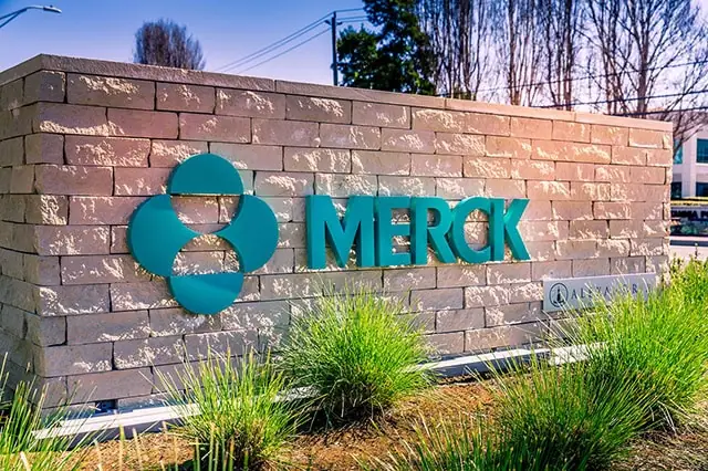 best dividend stock merck mrk