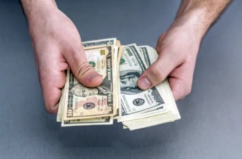 best dividend stocks beginners