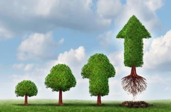 a series of bushes growing taller indicates long-term growth.