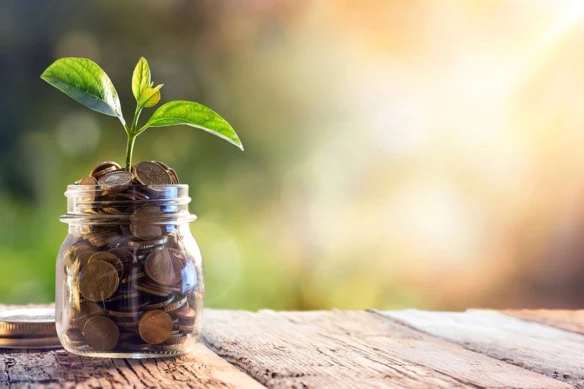 a jar of coins with a sprout sticking out of it.