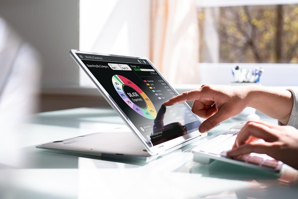 Best Mint Alternatives [10 Best Ways to Replace Mint]