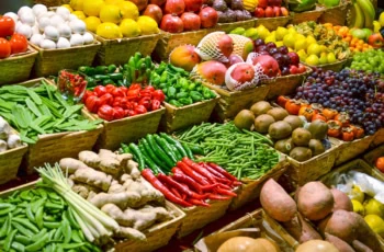 numerous fresh vegetables in a grocery store.