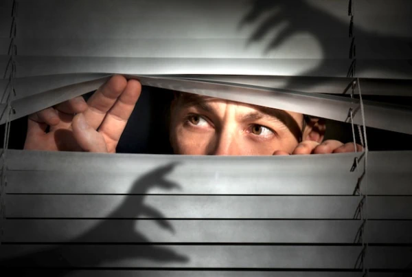 data privacy blinds shadows