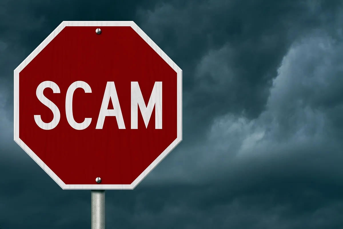 The Blueprint for Trust: How to Vet a Contractor Like a Pro Before Signing 2 dirty dozen tax scams