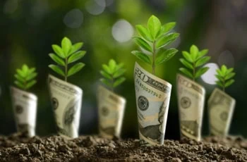 dollars sprout from the ground.