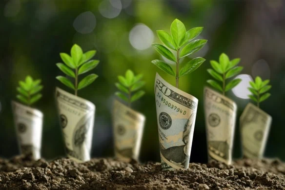 dollars sprout from the ground.
