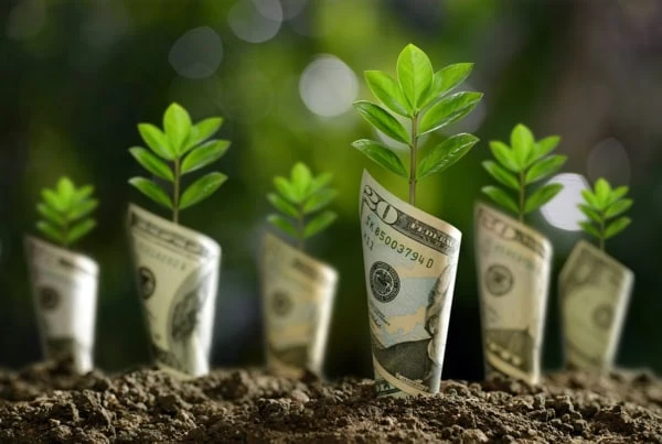 dollars sprout from the ground.