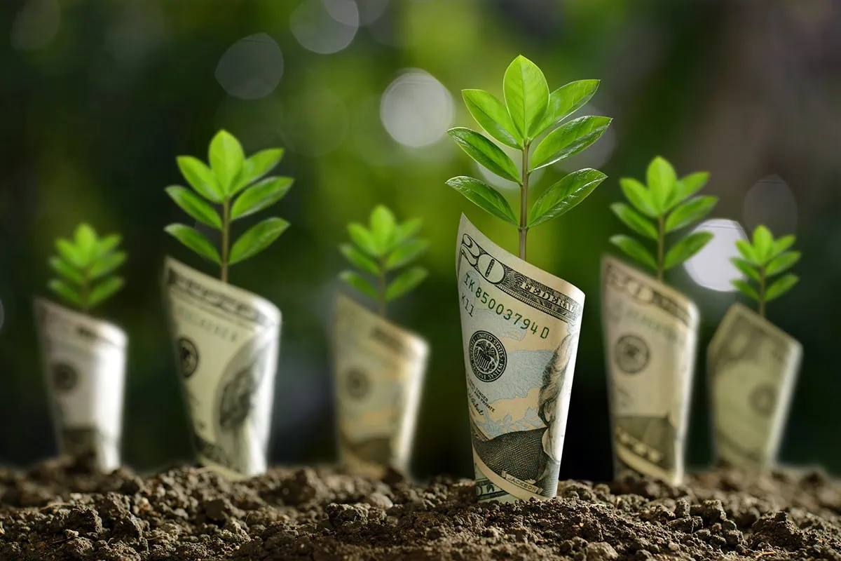Who Wears the Crown? Wall Street's 10 Best-Rated Dividend Aristocrats 2 dollars sprout from the ground.