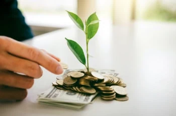 a sprout emerges from bills and coins on a desk.