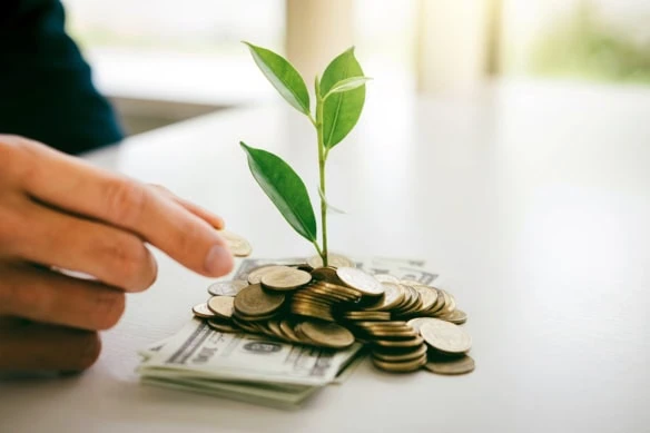 a sprout emerges from bills and coins on a desk.