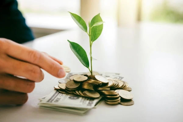 a sprout emerges from bills and coins on a desk.