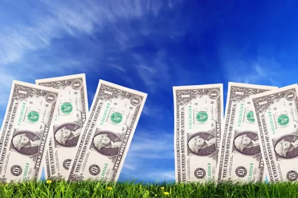 one dollar bills grow out of the ground.