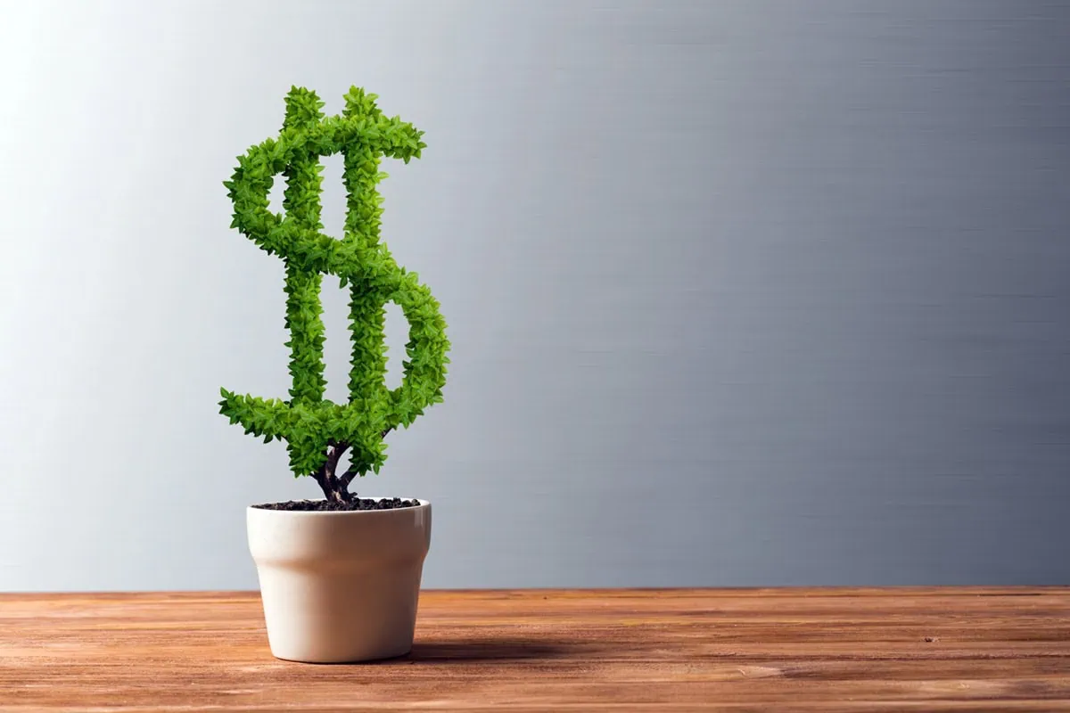 Wealth-Building Blind Spots: 9 Mistakes Too Many Retirees Make 2 concept art of a plant shaped like a dollar sign growing in a pot.