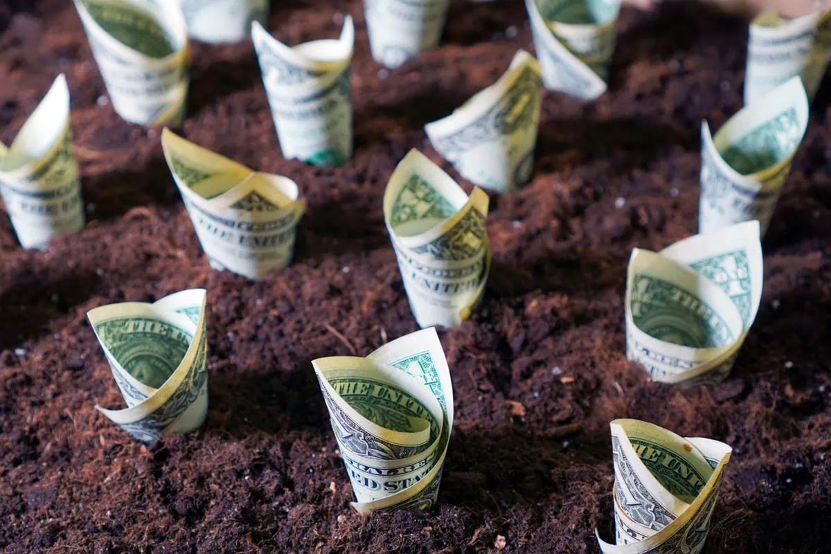 10 Essential Vanguard Index Funds for Building Lasting Wealth 6 dollar bills growing out of the soil.