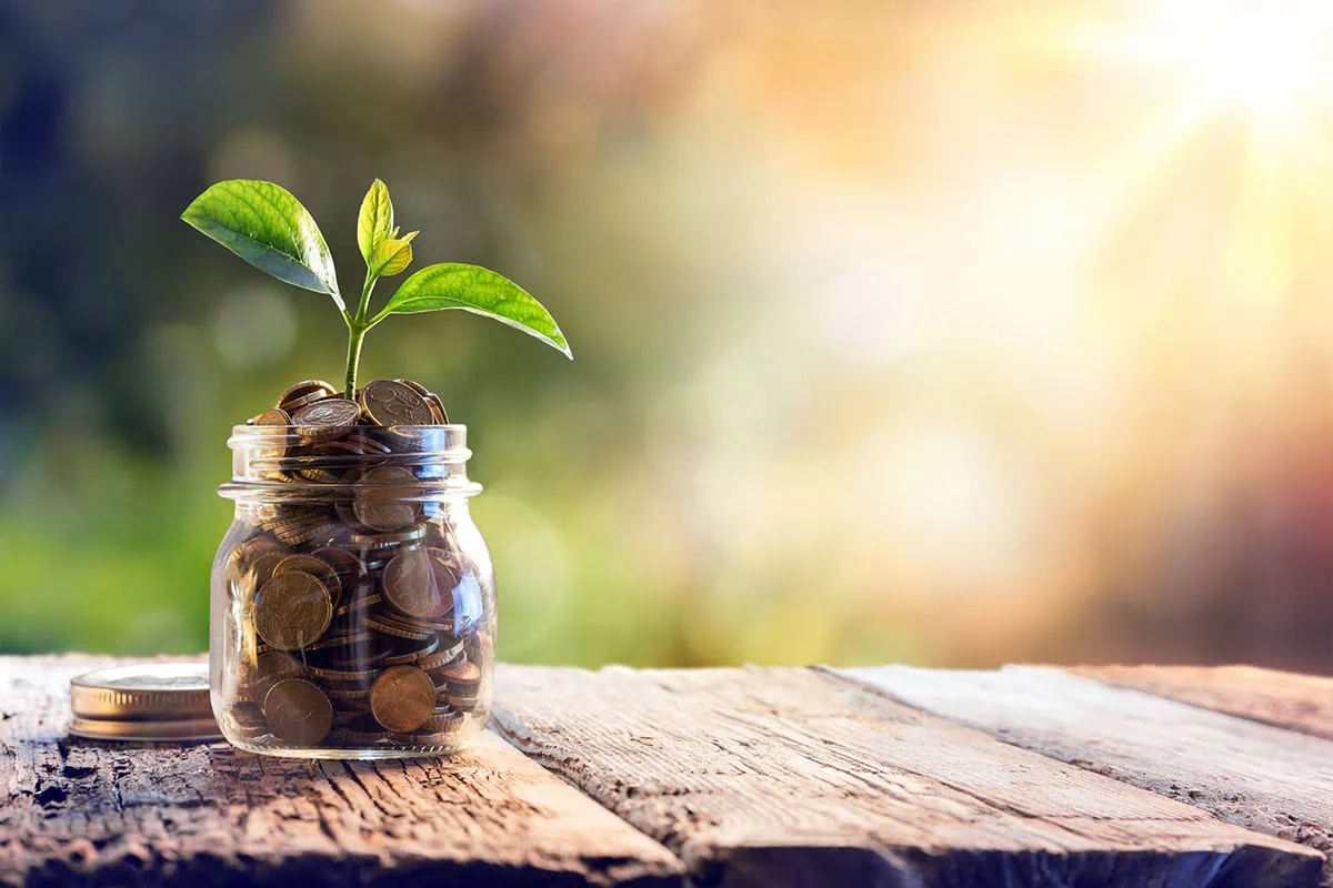 Your Beginner's Guide to 529 Plans 4 a jar of coins with a sprout sticking out of it.