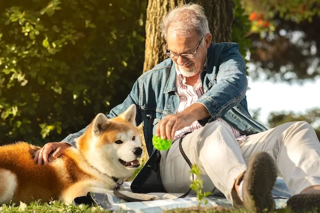 dog play senior retirement planning