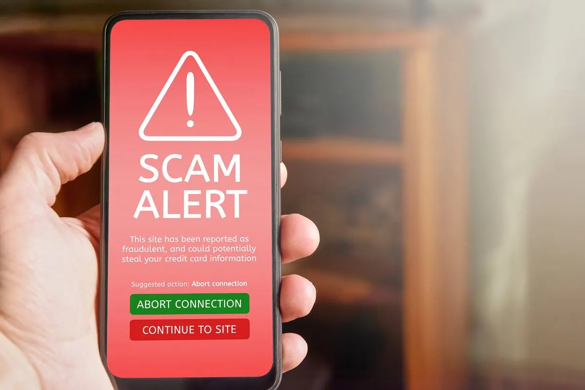 10 States Where Online Elder Fraud Runs Rampant 4 elder online fraud scam alert phone