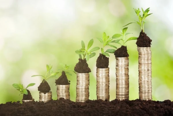 growing stack of coins yields and dividends