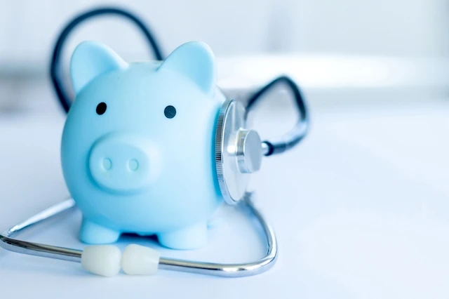 health savings account blue piggy bank