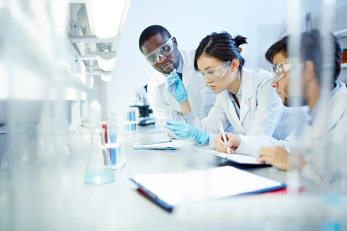 scientists work in a laboratory.