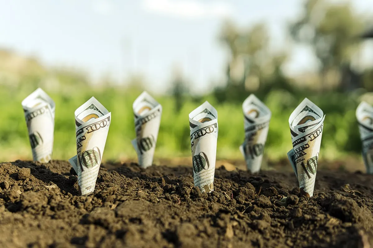 🤫 Private Equity's Inner Circle: Navigating Different Types of Private Equity Investments 10 investing in startup companies