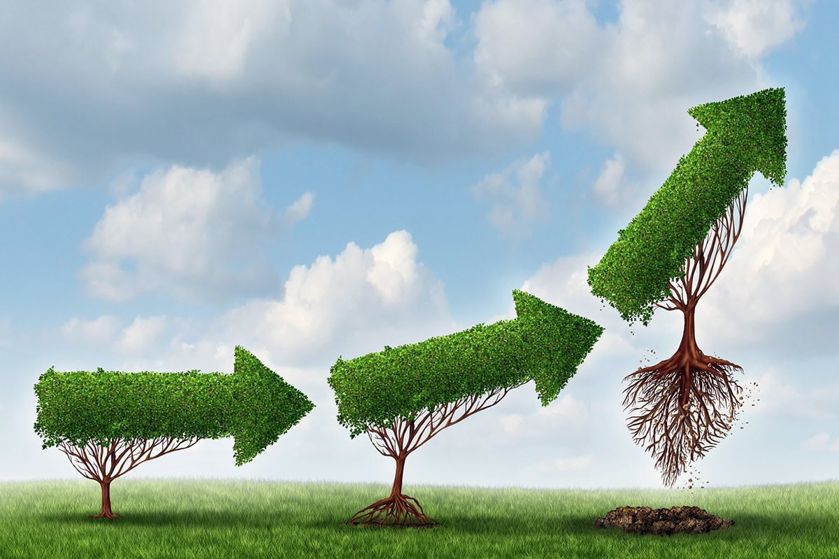 💰Hyper-Growth Hunting: Where the Smart Money is Parked for 2026