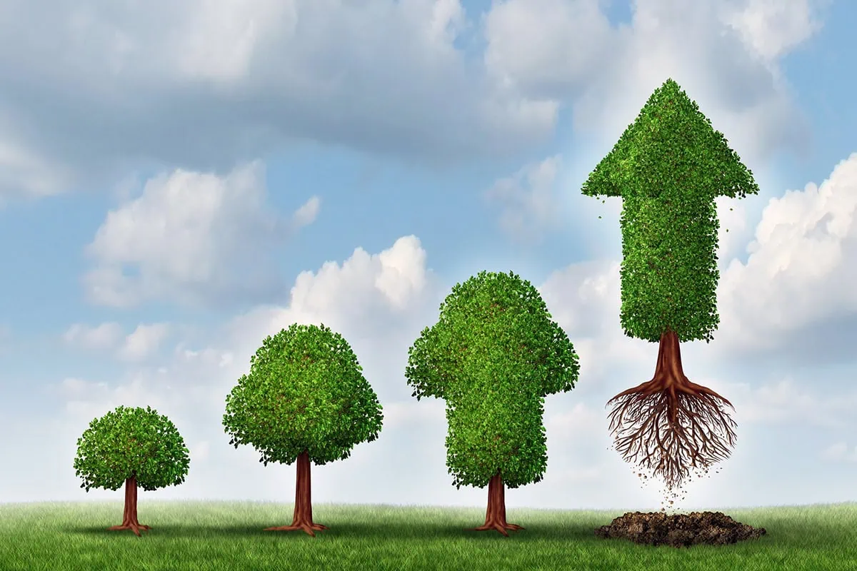 a series of bushes growing taller indicates long-term growth.