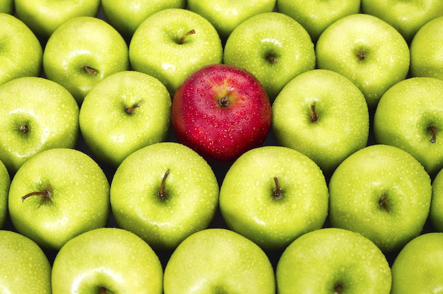 mid cap index fund apples