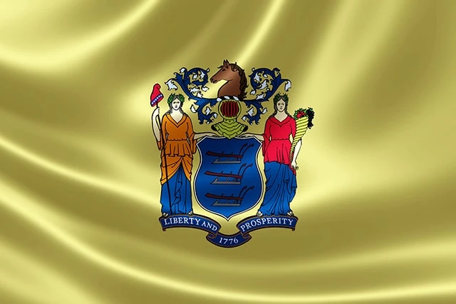 new jersey state flag 640