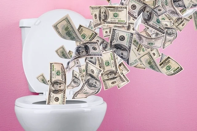 pink dollars drain flush toilet