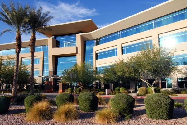 a generic office building in sunlight.