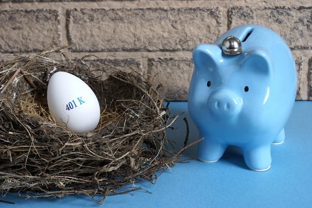 retirement account 401k savings nest