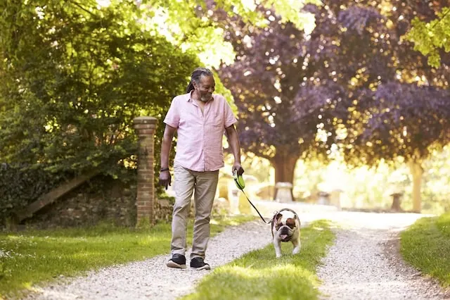 retirement dog walking