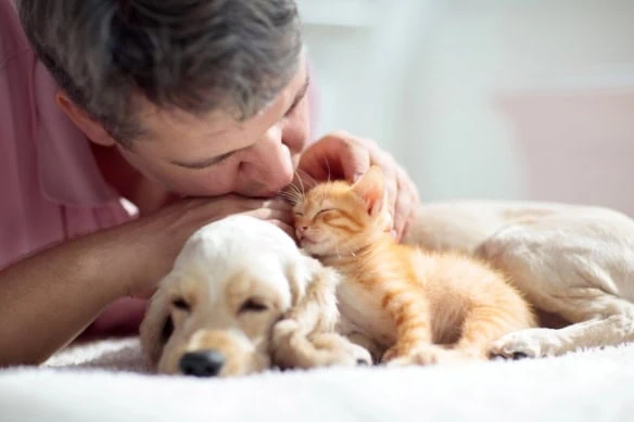 Furry companions or financial burden? A look at the pros and cons of pet ownership in retirement 1 retirement pets reduce loneliness 1200
