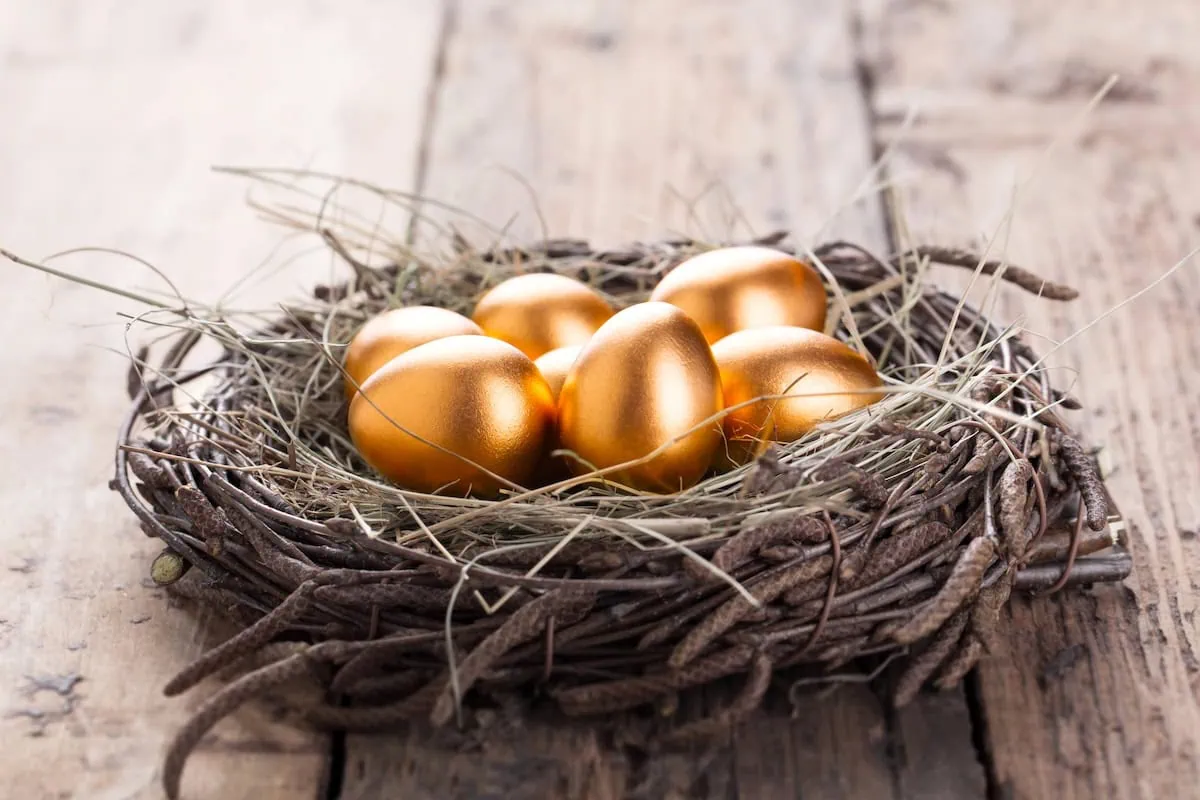 retirement savings gold eggs nest 1200