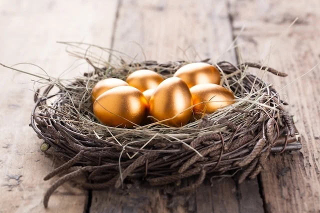 retirement savings gold eggs nest