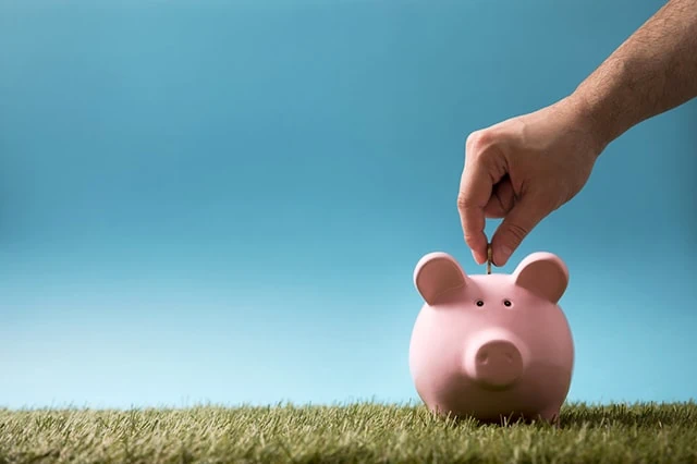 savings account piggy bank