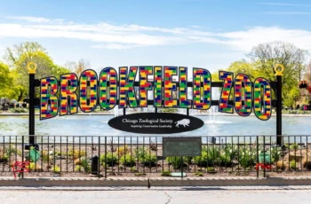 senior discount brookfield zoo chicago 1200