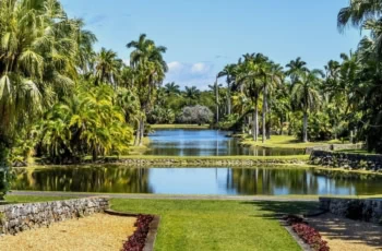 senior discount fairchild tropical botanical garden 1200