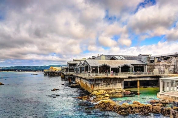 senior discount monterey bay 1200