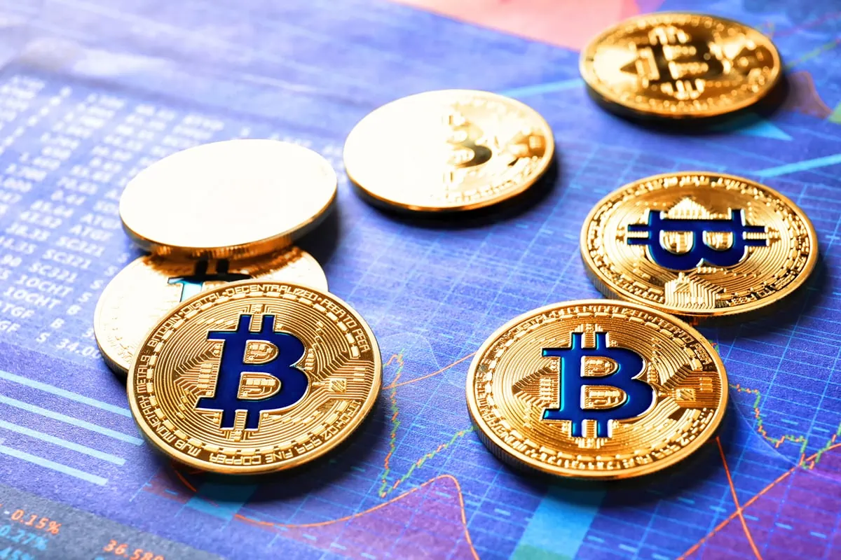 spot bitcoin etfs