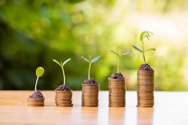 growing stack of coins with plant growing on money