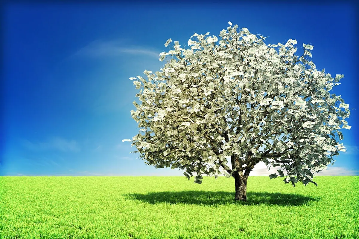 Maximize Your IRA With These 7 Schwab Retirement Funds 21 a giant tree with leaves made out of dollar bills.