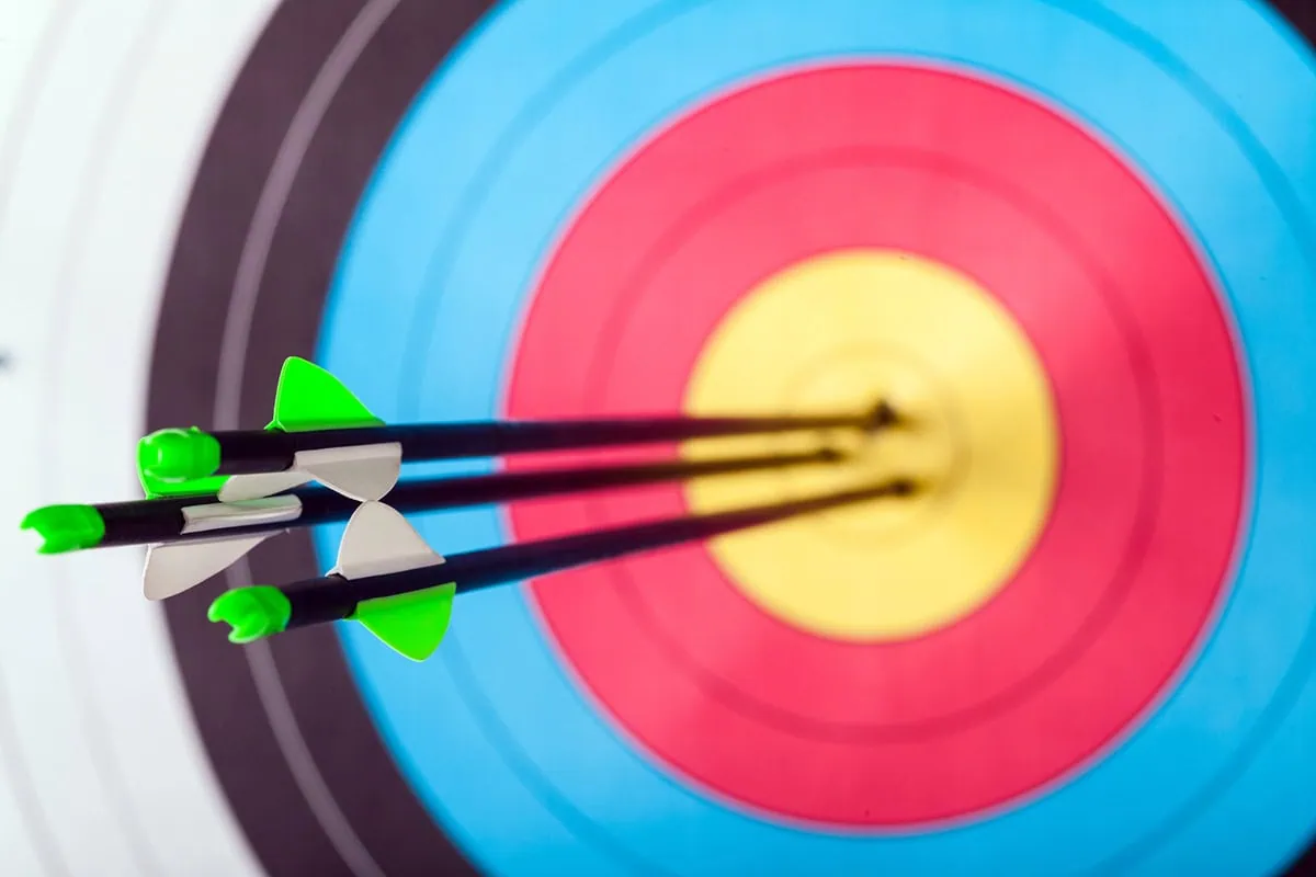 These 9 Fidelity Funds Can Rev Up Your Retirement Savings 13 several arrows in an archery target.