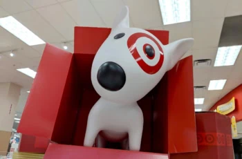 target shoppers bullseye spot impulse 1200