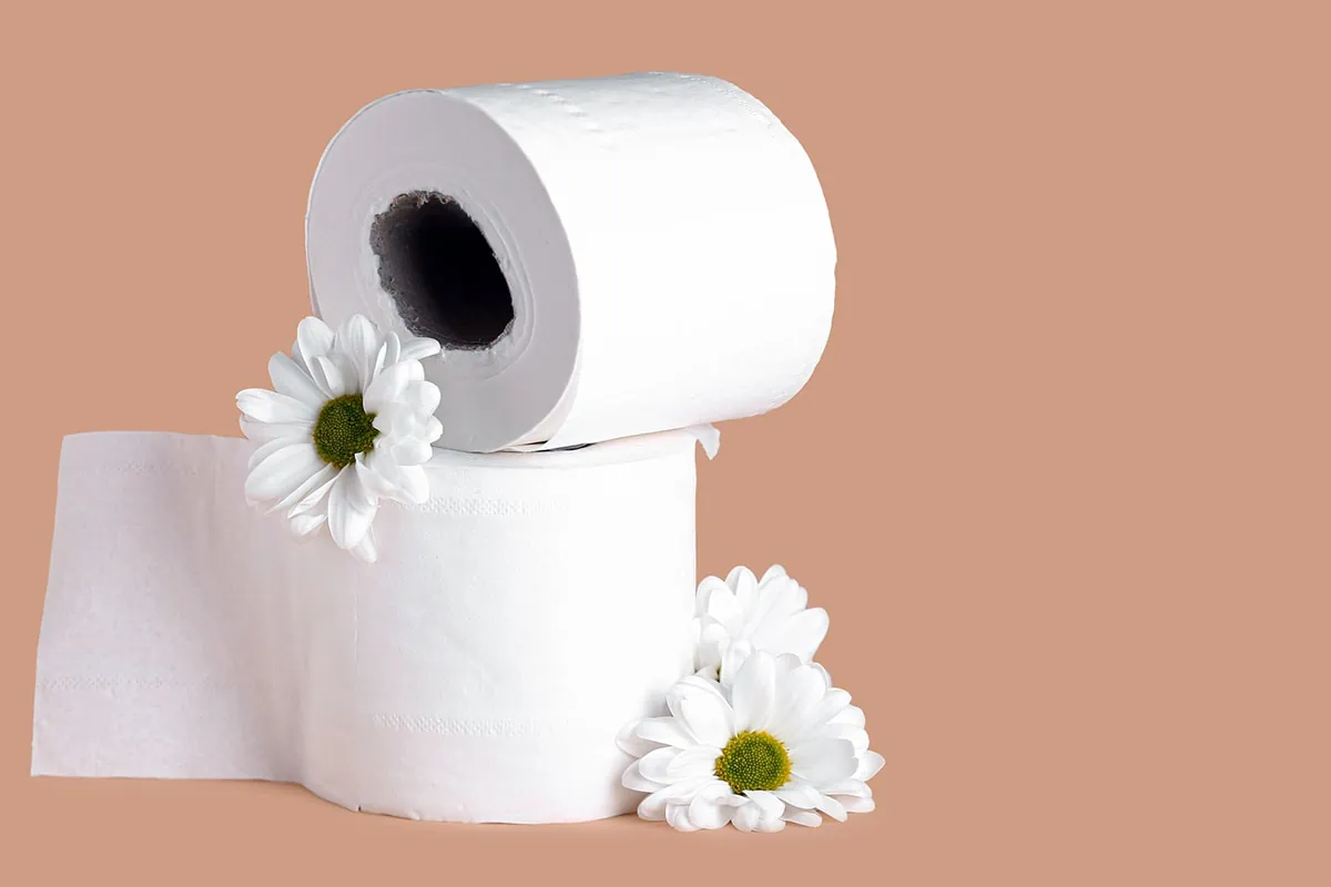 The Bulk-Buy Buffer: 14 Staples to Stockpile to Outsmart Inflation 2 toilet paper buy in bulk large