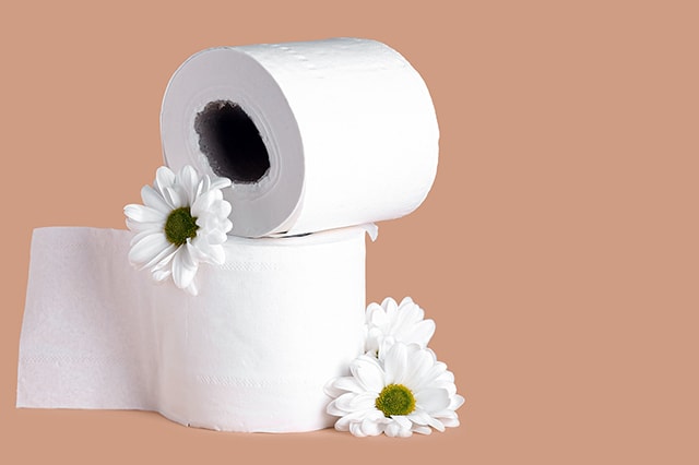 toilet paper buy in bulk small