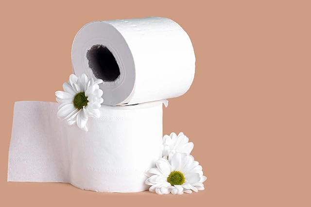 toilet paper buy in bulk small